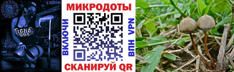 кракен маркетплейс Верхняя Тура Псилоцибиновые грибы Cubensis